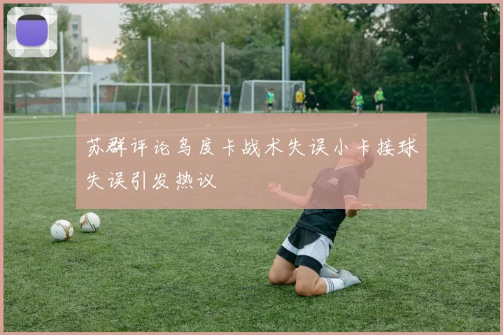 苏群评论乌度卡战术失误小卡接球失误引发热议