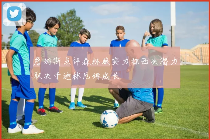 詹姆斯点评森林狼实力称西决潜力取决于迪林厄姆成长