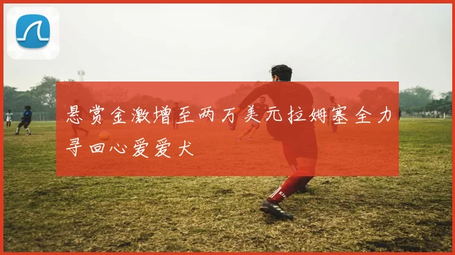 悬赏金激增至两万美元拉姆塞全力寻回心爱爱犬