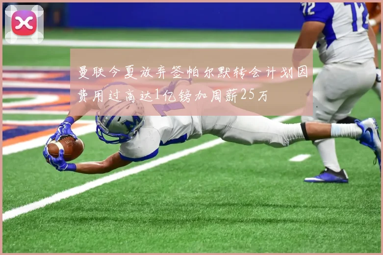 曼联今夏放弃签帕尔默转会计划因费用过高达1亿镑加周薪25万