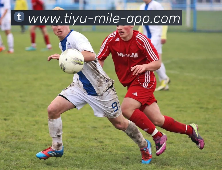 米乐体育APP 封面图